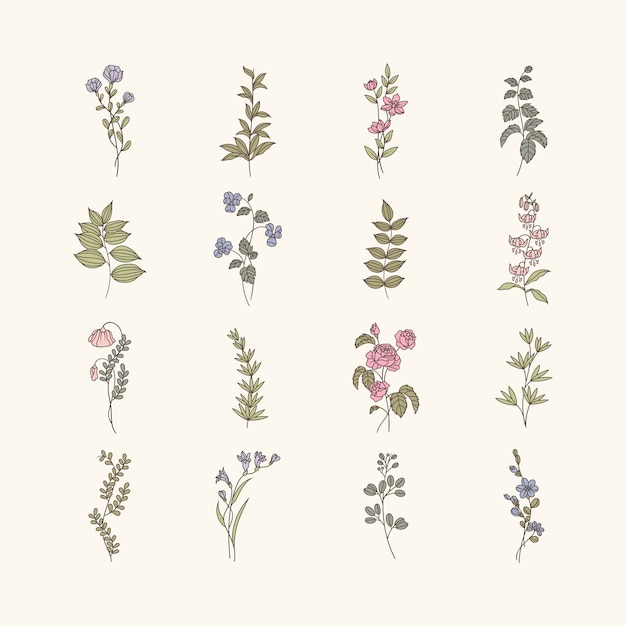 Botanical floral mockup illustration