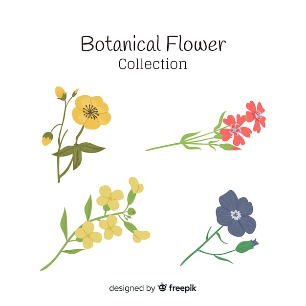 Botanical flower collection