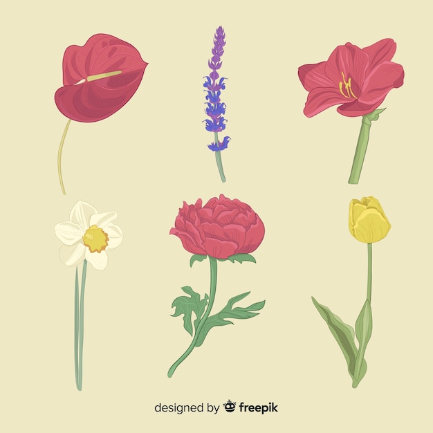 Free Vector botanical flower and leaves collection