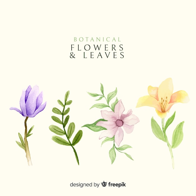 Botanical flower and leaves collection