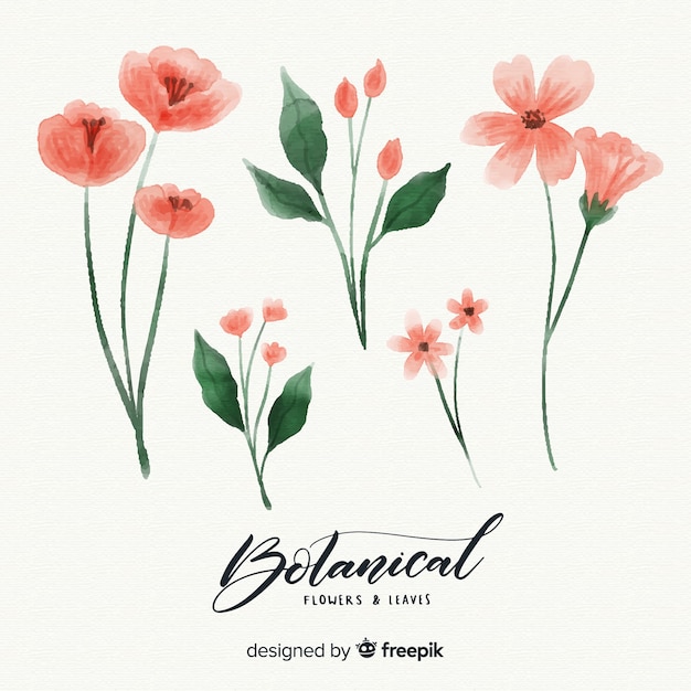 Botanical flower and leaves collection