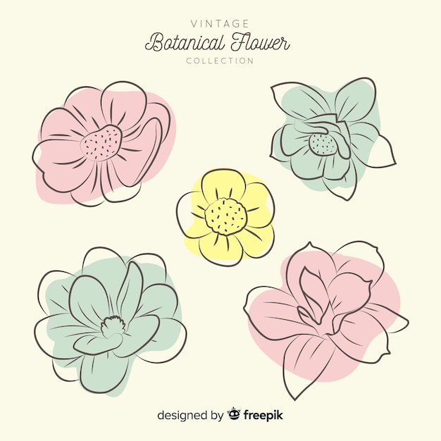 Botanical flower and leaves collection