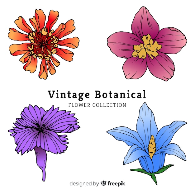 Botanical flower and leaves collection