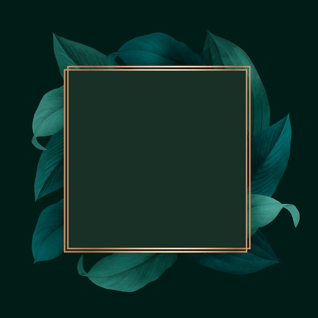 Free Vector botanical frame 