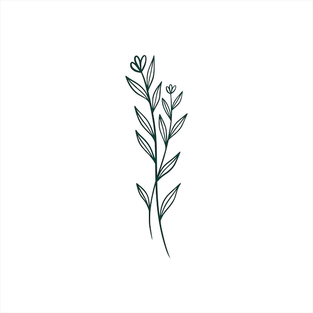 Free Vector botanical leaf doodle wildflower line art