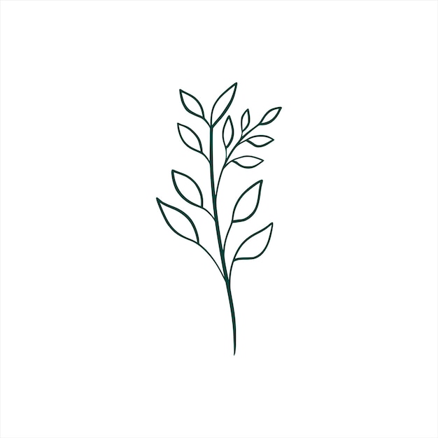 Botanical leaf doodle wildflower line art