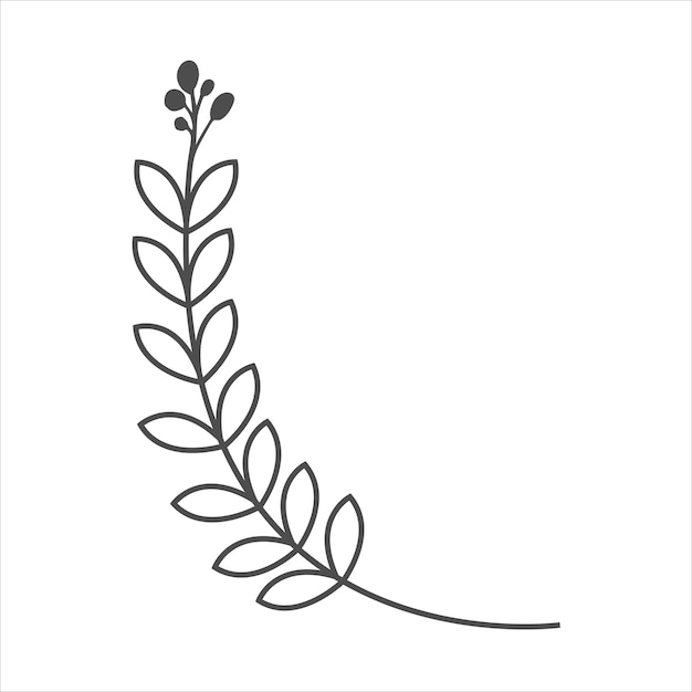 Botanical leaf doodle wildflower line art