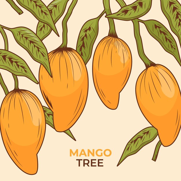 Botanical mango tree with leaves