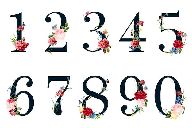 Botanical numbers with tropical flowers illustration