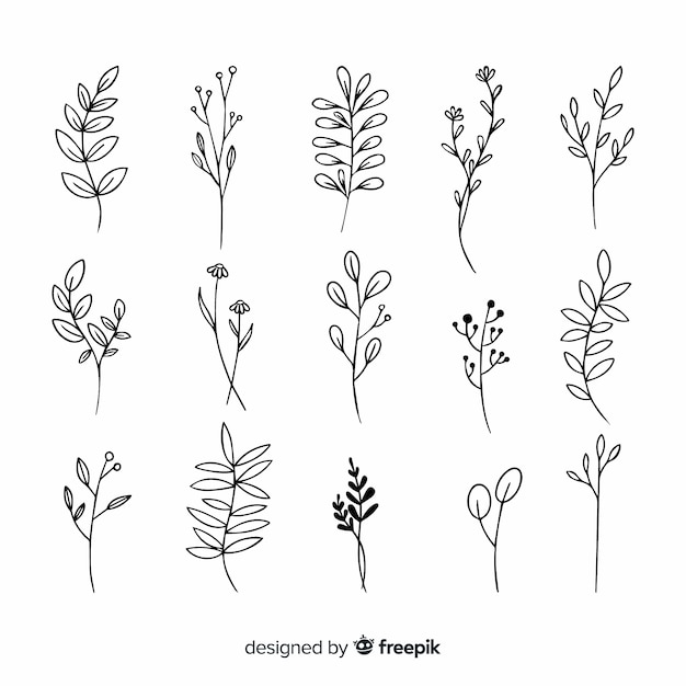 Free Vector branch with leaves ornamental draw