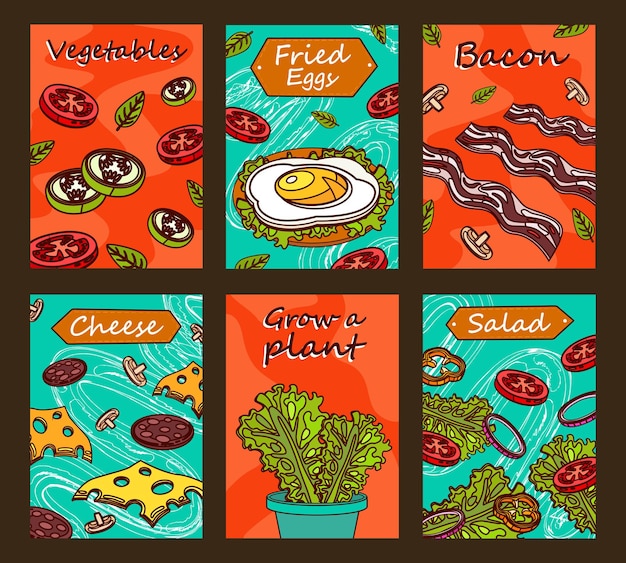 Bright brochure designs with tasty food. Colored sliced vegetables, bacon, fried egg and green salad.