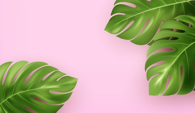 Free Vector bright pink summer background with tropical realistic monstera leaves.