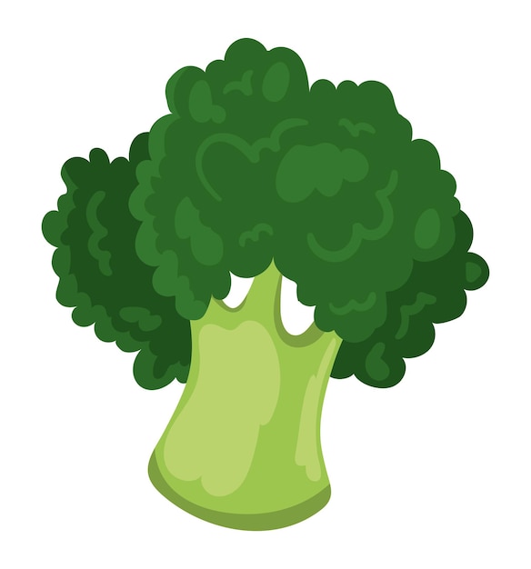 Free Vector broccoli healthy food