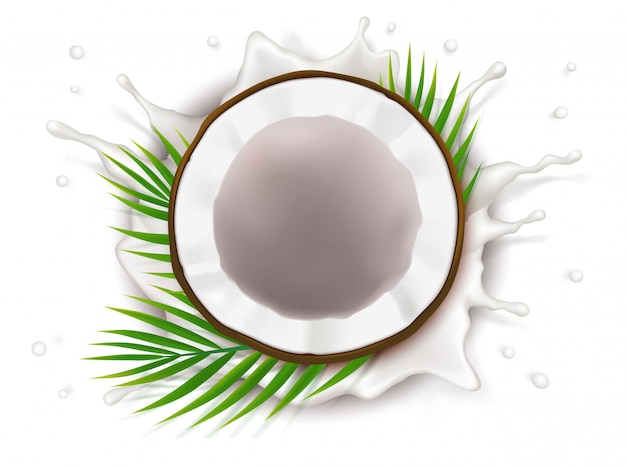 Free Vector broken coconut in milk splash