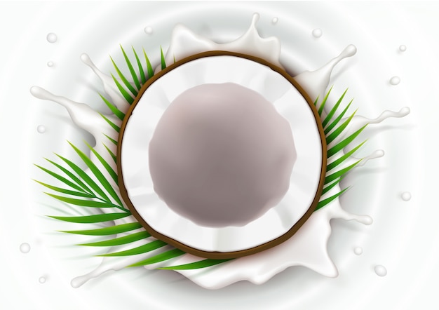 Free Vector broken coconut in milk splash