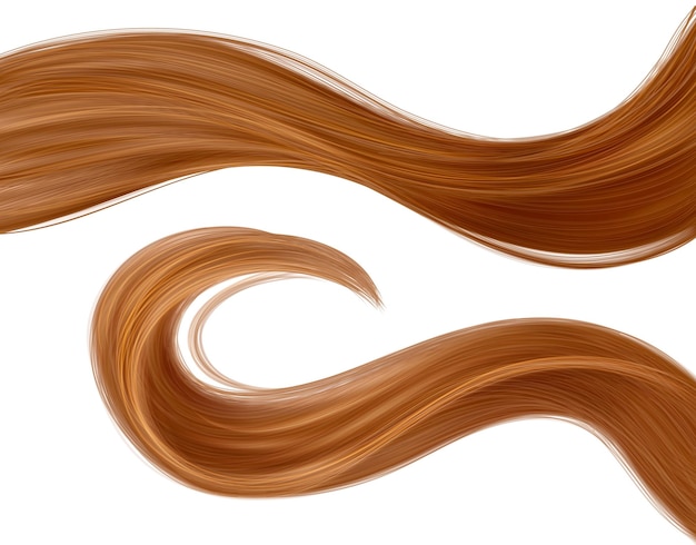 Free vector brown long waved woman hair strand lock