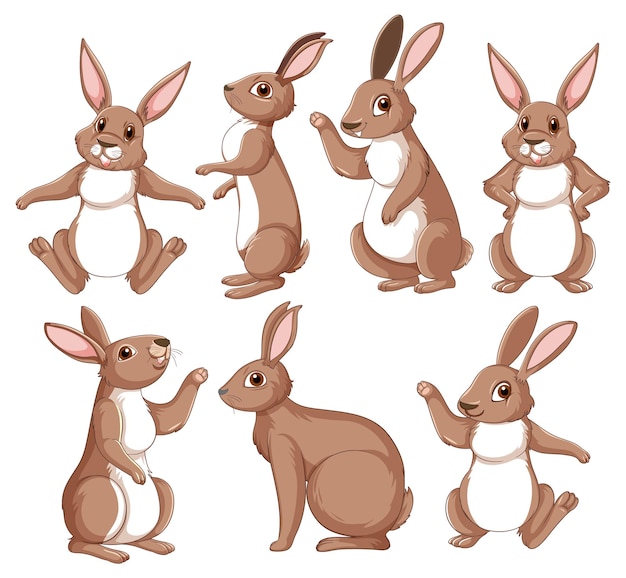 Free Vector brown rabbits in different poses set