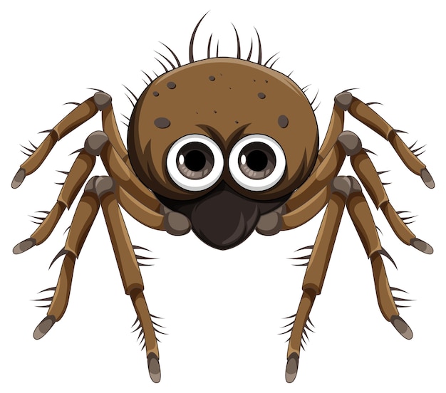 Brown spider cartoon isolated