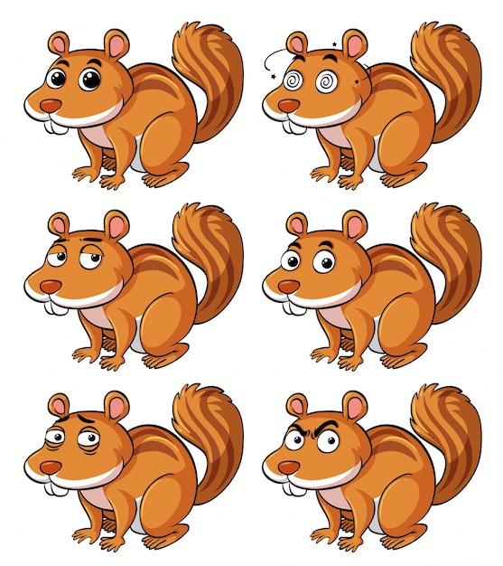 Free vector brown squirrel with different facial expressions