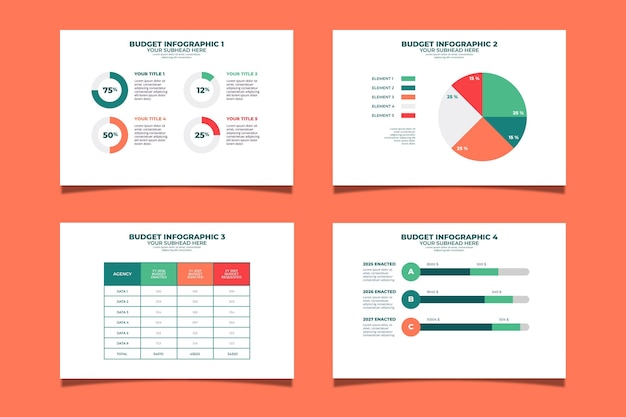 Budget infographic template