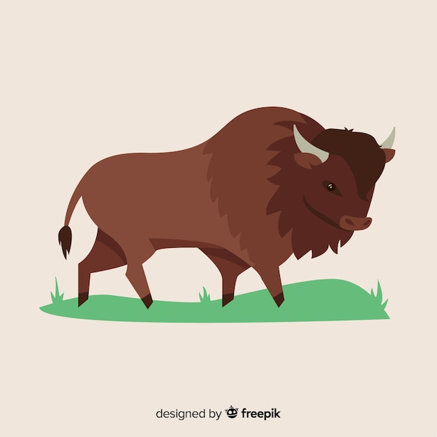 Buffalo draw illustration design