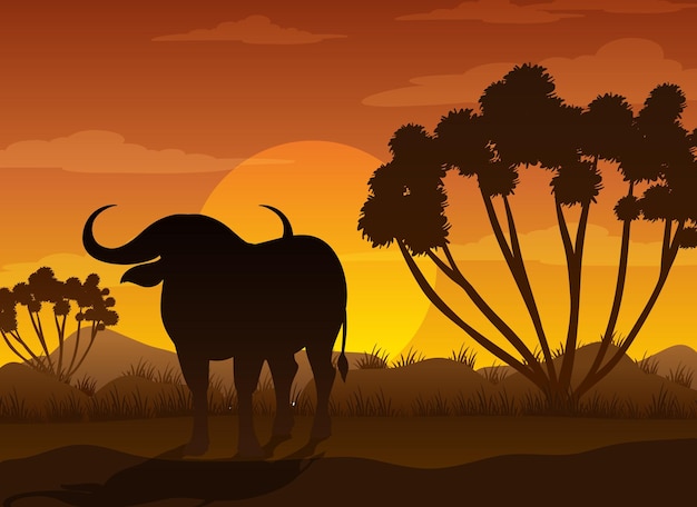 Buffalo silhouette at savanna forest