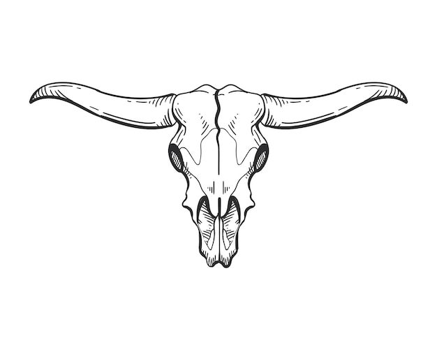 Free Vector bull skull isolated icon vector illustration