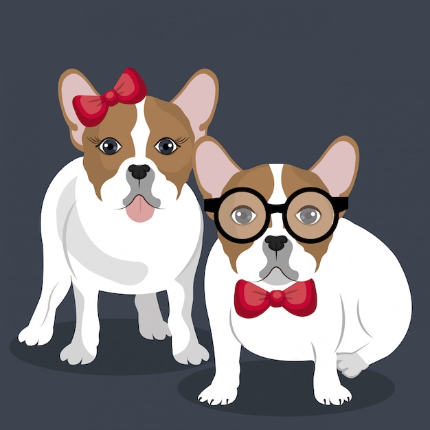 Free Vector bulldog couple illustration  