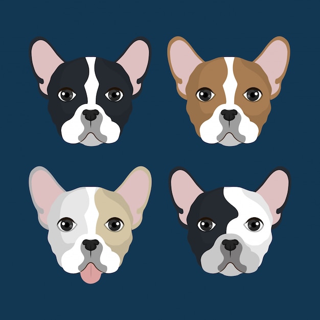 Free Vector bulldog heads pack  