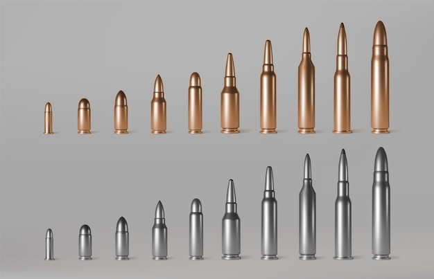 Free vector bullets of different calibers stand in row