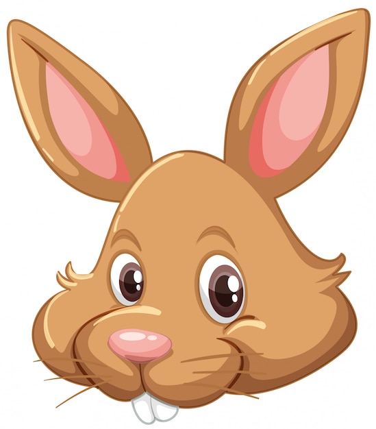 Free Vector bunny face on white background