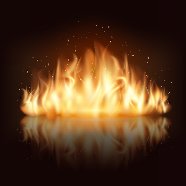 Free Vector burning fire flame. burn and hot, warm and heat, energy flammable, flaming vector illustration