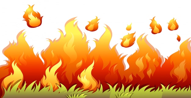 A bushfire flame on white background