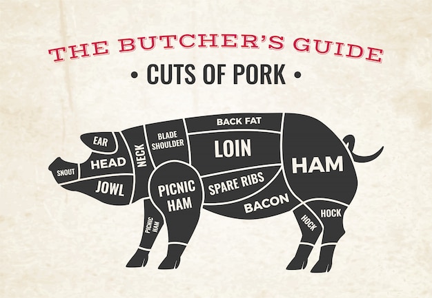 Butchery diagram with silhouette of pig and cuts of pork on old paper