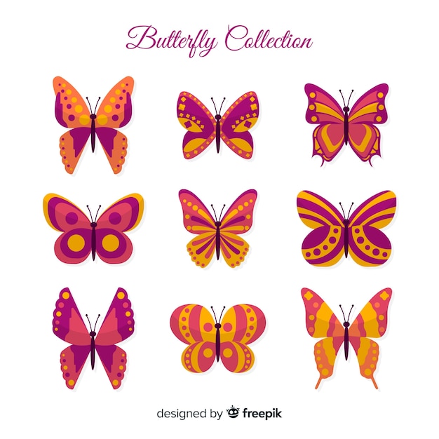 Butterflies of different shapes collection