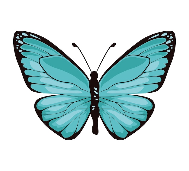 butterfly blue light insect icon