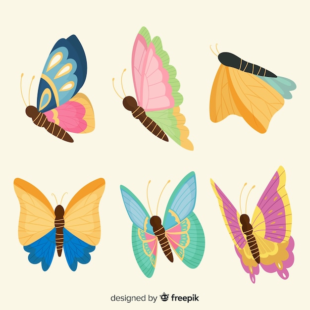 Butterfly collection