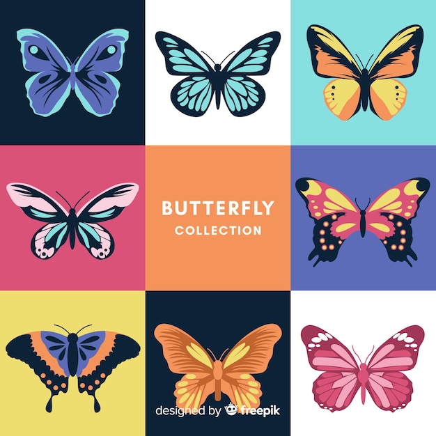 Butterfly collection