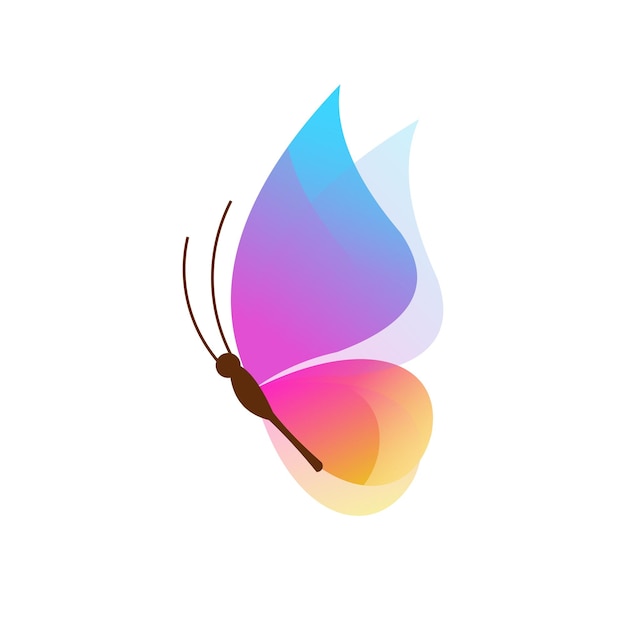 Butterfly logo colorful gradient illustrations