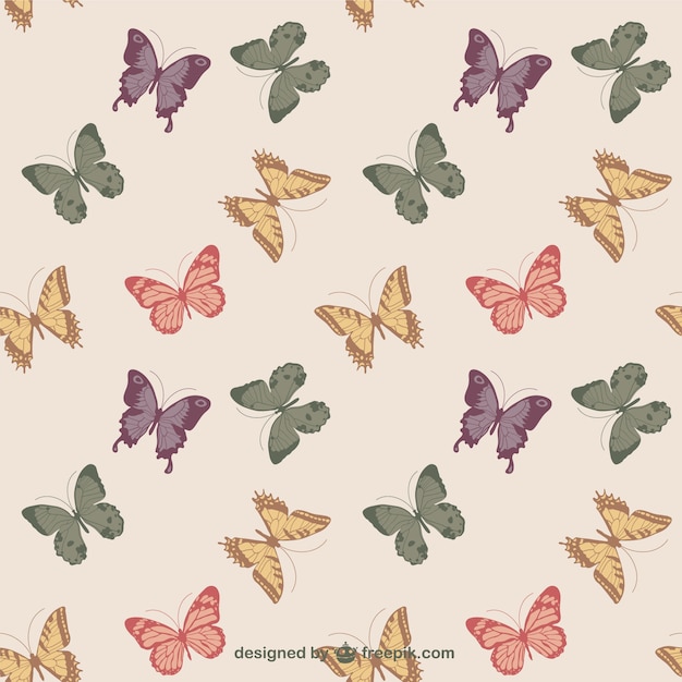 butterfly pattern