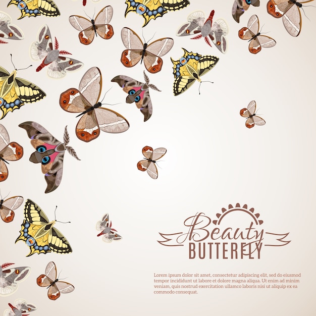 Free Vector butterfly realistic background 