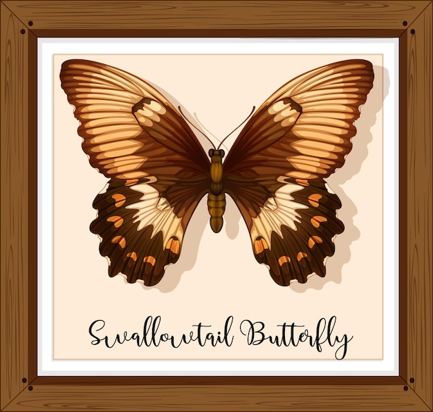 Butterfly on wooden frame