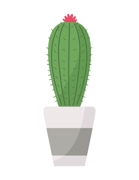 Free Vector cactu houseplant in pot nature icon