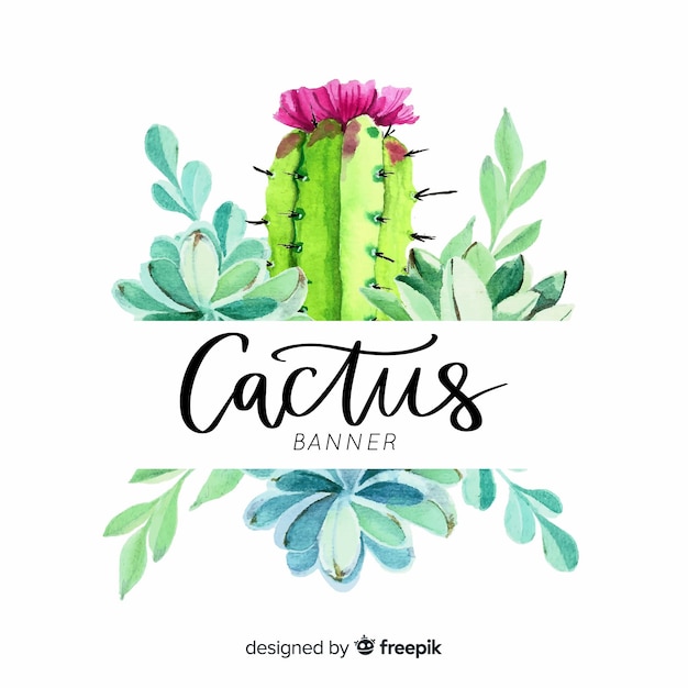 Cactus banner