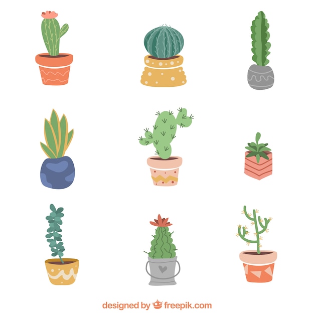 Cactus collection with flat design