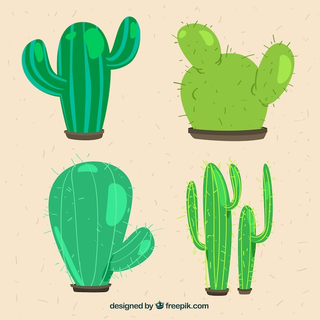 Free Vector cactus collection with fun style