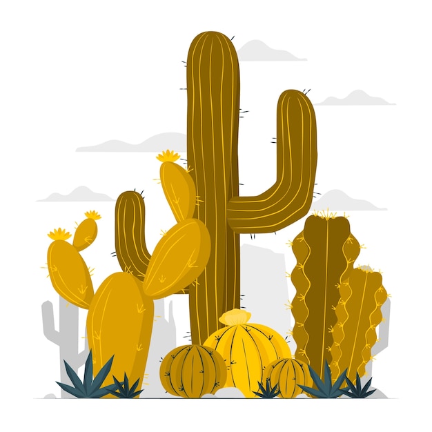 Cactus concept illustration