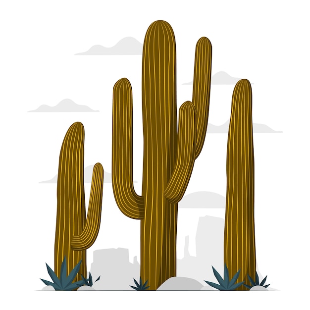 Free Vector cactus concept illustration