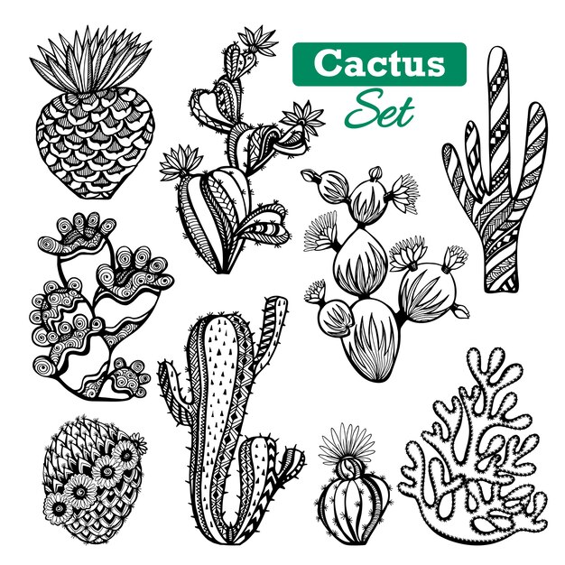 Cactus Icons Set 