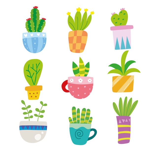 Cactus illustrations collection